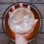 Scoby bzw. Teepilz liegt auf einer Hand