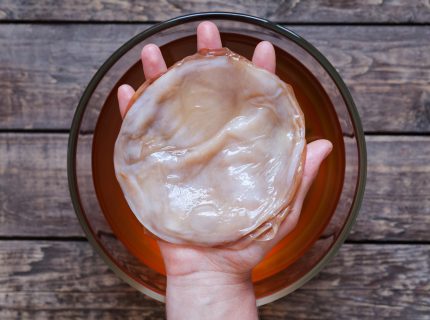 scoby, kombucha, fairment