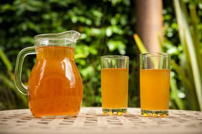 Glaskaraffe und zwei Gläser gefüllt mit Kombucha Kombucha Pilz