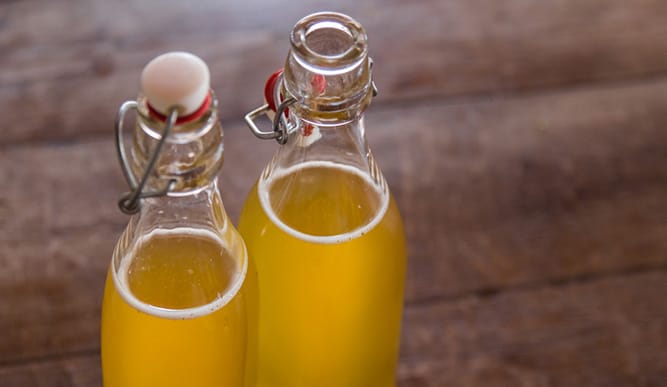 jun, jun tee, jun-tee, Kombucha