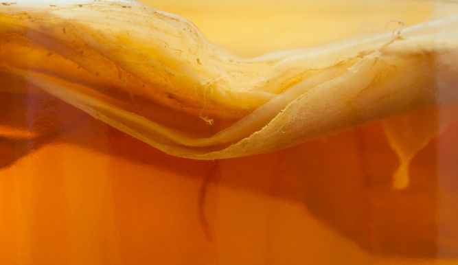 Die 5 besten Kombucha Verwendungen (auer Trinken!) | Fairment - Lass  Mikroben toben