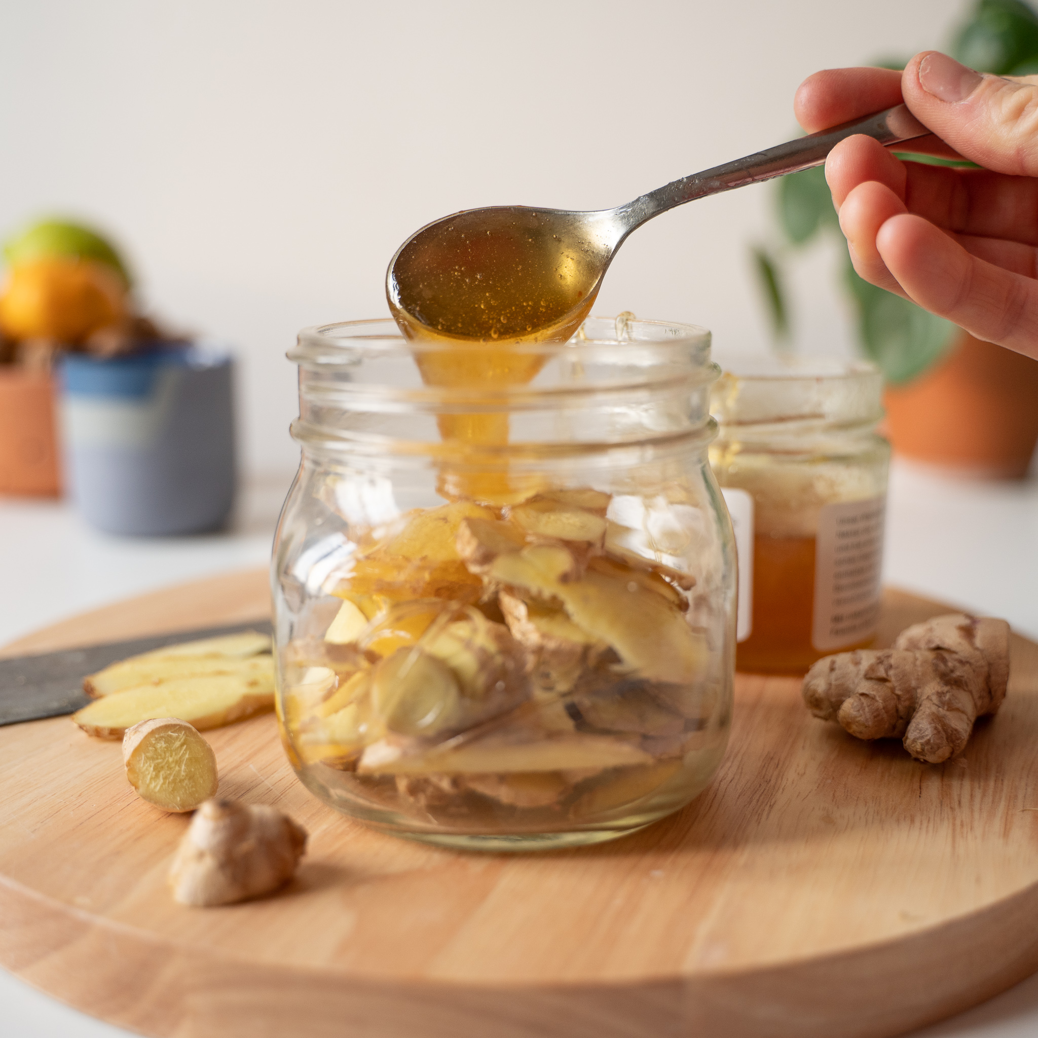 Ingwer in Honig fermentieren | Fairment - Lass Mikroben toben