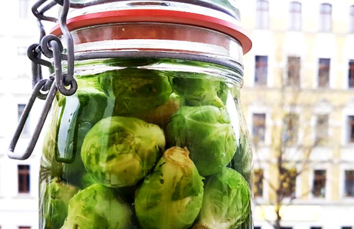 Rosenkohl fermentieren