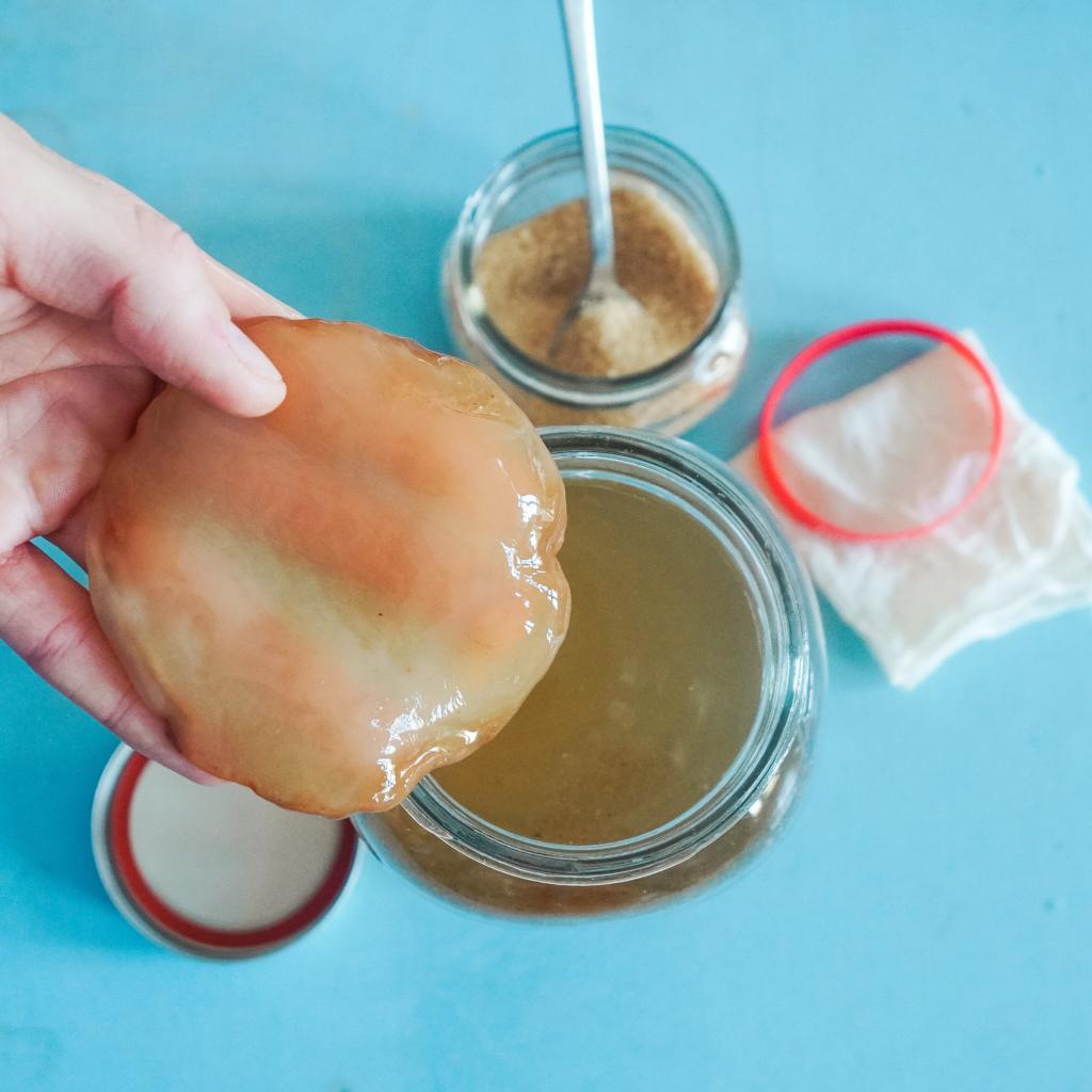 Scoby