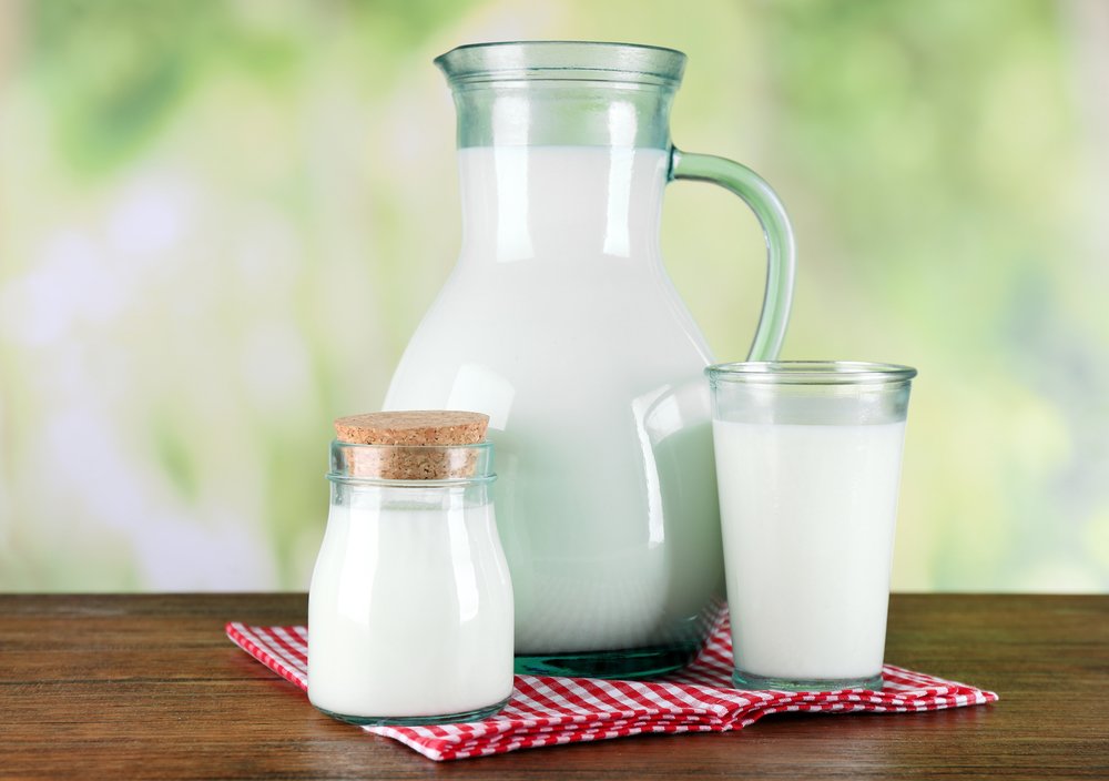 Die richtige Milch für Deinen Mil
chkefir | Fairment - Lass Mikroben toben