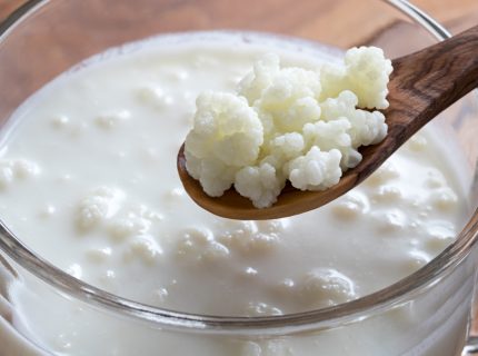 fairment, fermentieren, fermentation, kombucha, kefir, kaufen, milchkefir, wasserkefir, scoby, kraut, sauerkraut, gurken