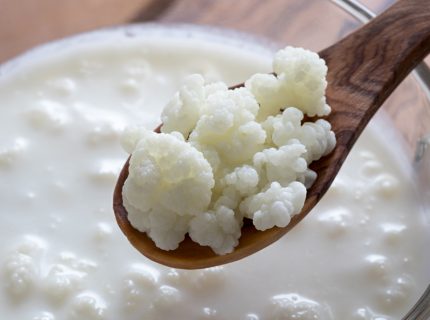 fairment, fermentieren, fermentation, kombucha, kefir, kaufen, milchkefir, wasserkefir, scoby, kraut, sauerkraut, gurken