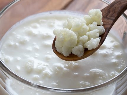 fairment, fermentieren, fermentation, kombucha, kefir, kaufen, milchkefir, wasserkefir, scoby, kraut, sauerkraut, gurken