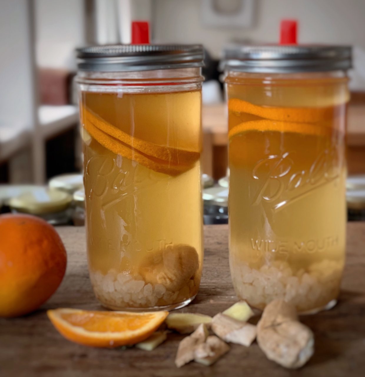 Wasserkefir, Fermentation, Mason Glas, Fermentationsgefäß, Gärgefäß, Fermentierglas