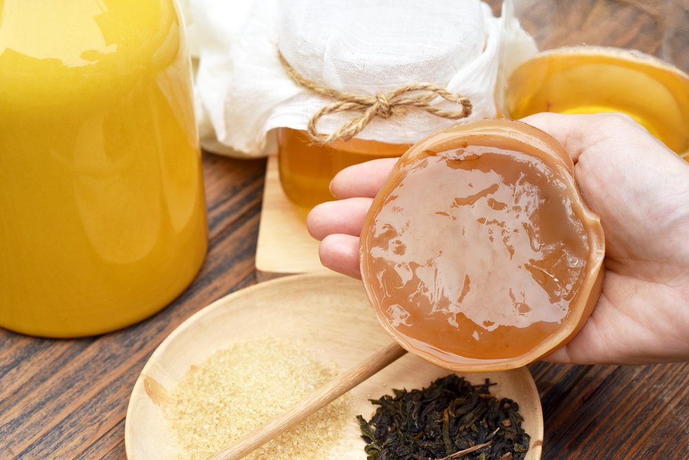 Kombucha Pilz: Alles was Du wissen musst I Fairment