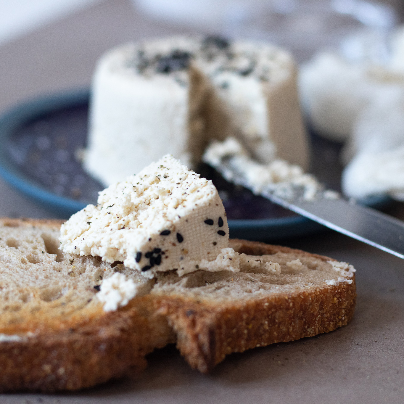 _MG_9418_1x1 veganer Käse, veganer Frischkäse, veganer Streichkäse