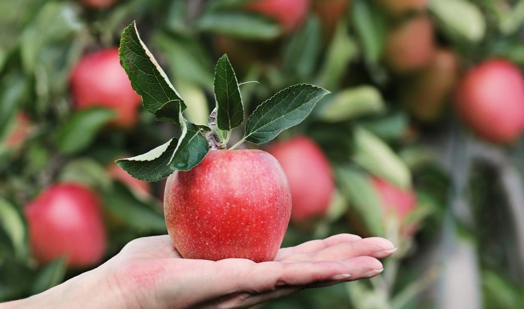 Geriebener Apfel Wie Lange Stehen Lassen Geriebener Apfel Darmflora: In 5 Minuten zu einem fitten Darm